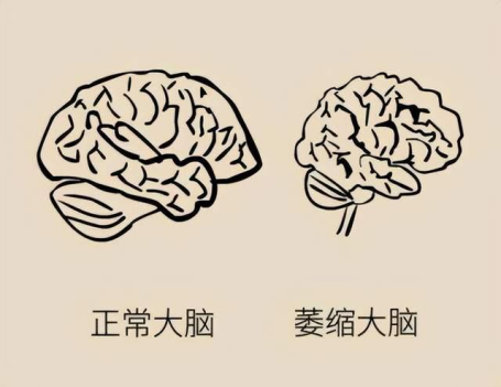 &#21322;&#23707;&#32593;&#39029;&#29256;&#45;&#21322;&#23707;&#98;&#97;&#110;&#100;&#97;&#111;&#65288;&#20013;&#22269;&#65289;